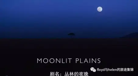 地球的夜晚