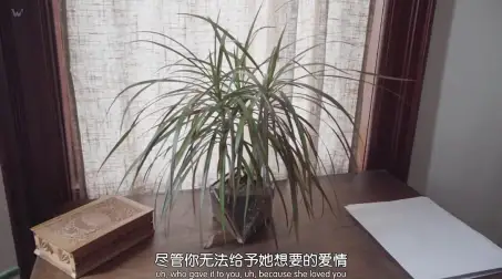 约翰·威尔逊的十万个怎么做 第一季