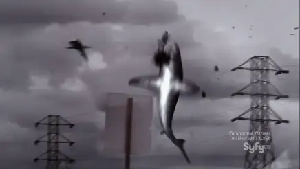 鲨卷风