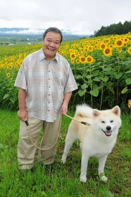 星守之犬