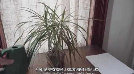 约翰·威尔逊的十万个怎么做 第一季