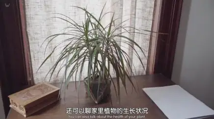 约翰·威尔逊的十万个怎么做 第一季